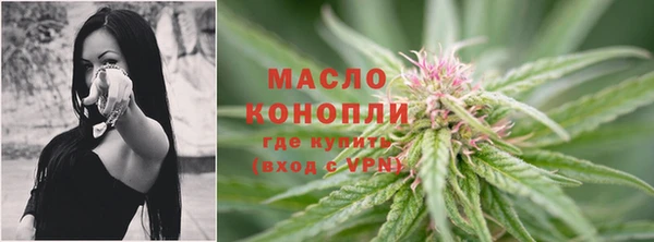 прущие грибы Армянск